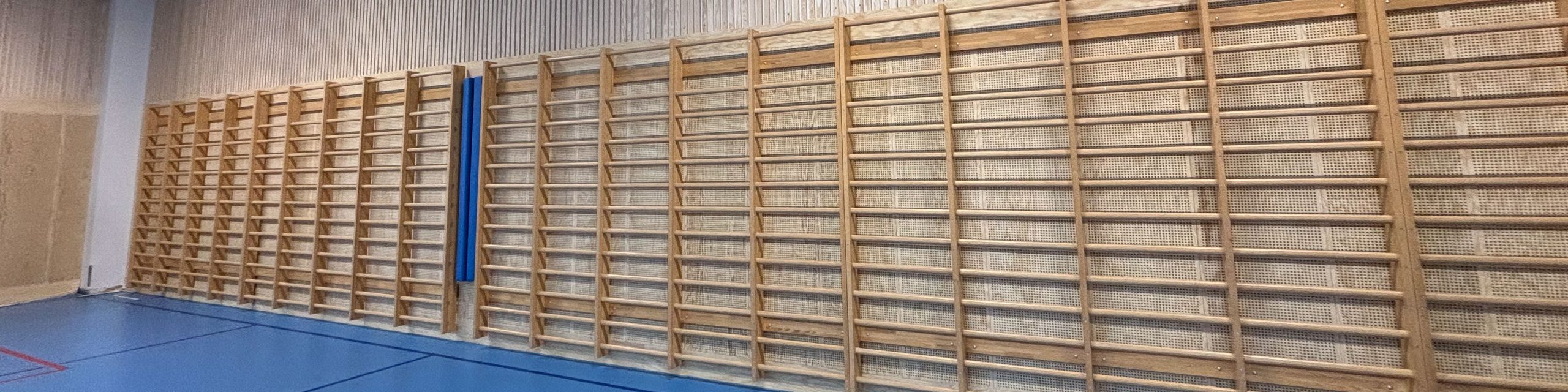 Gamlebyen skole - perforerte plater